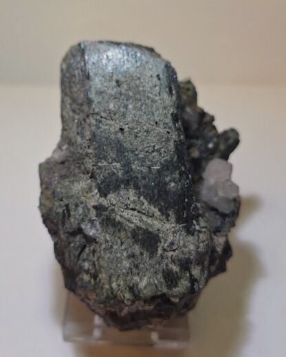 Hornblende